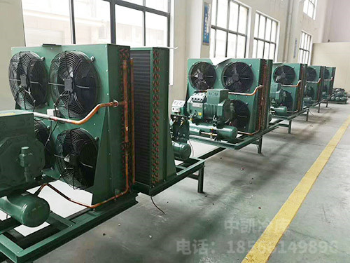 德国比泽尔风冷机组