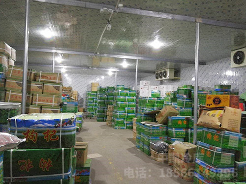 广州百盛源枸杞保鲜