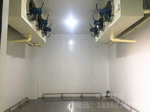 化工厂防爆冷库（-18℃--22℃）